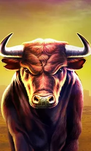 Black Bull